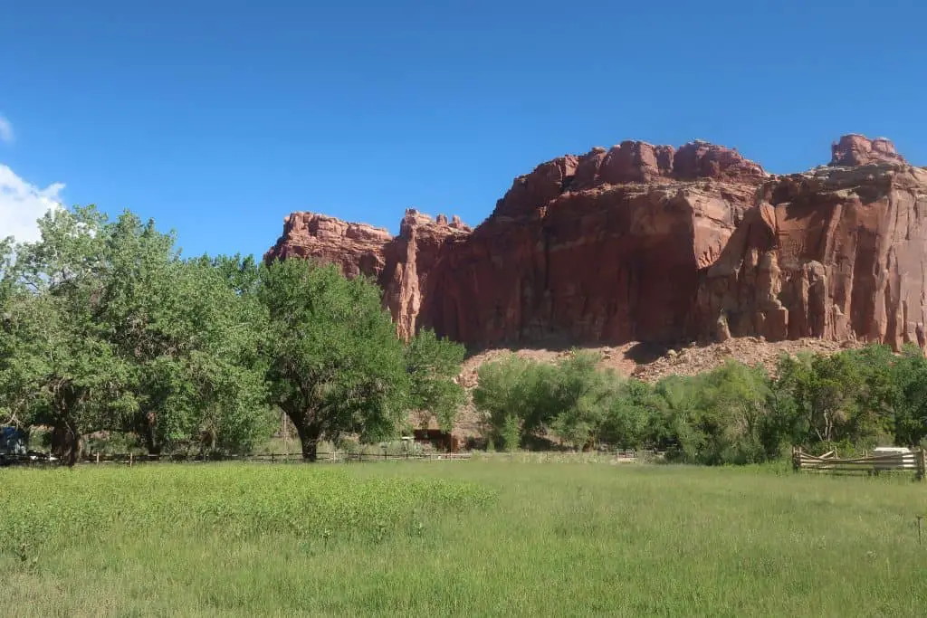 Capitol Reef in One Day - Fruit Orchard