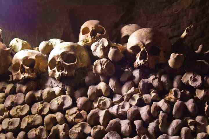 Catacombes of Paris - Skeletons